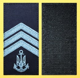 Старшина 1 статті синий